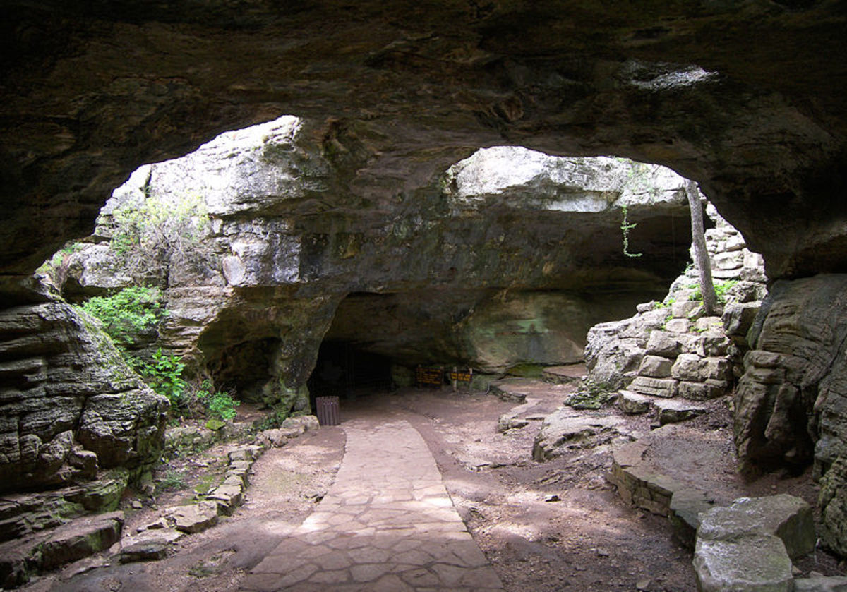 The only known habitat for the austin blind salamander is barton springs. Exploring the Caverns and Caves in Texas | HubPages