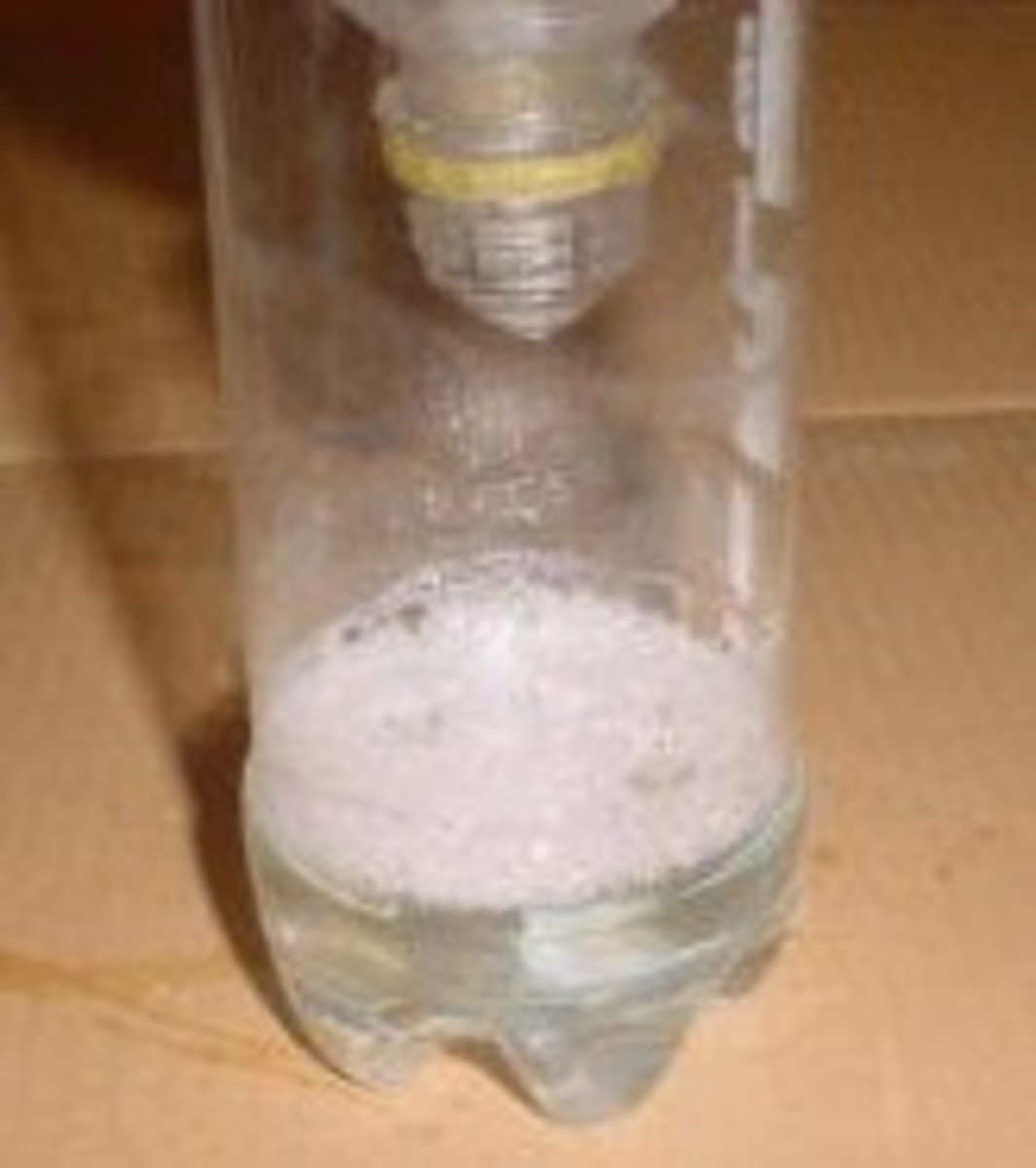 12,745 30 bees, flies, and insects can be qui. Cheap and Easy Stink-Bug Soda Bottle Trap