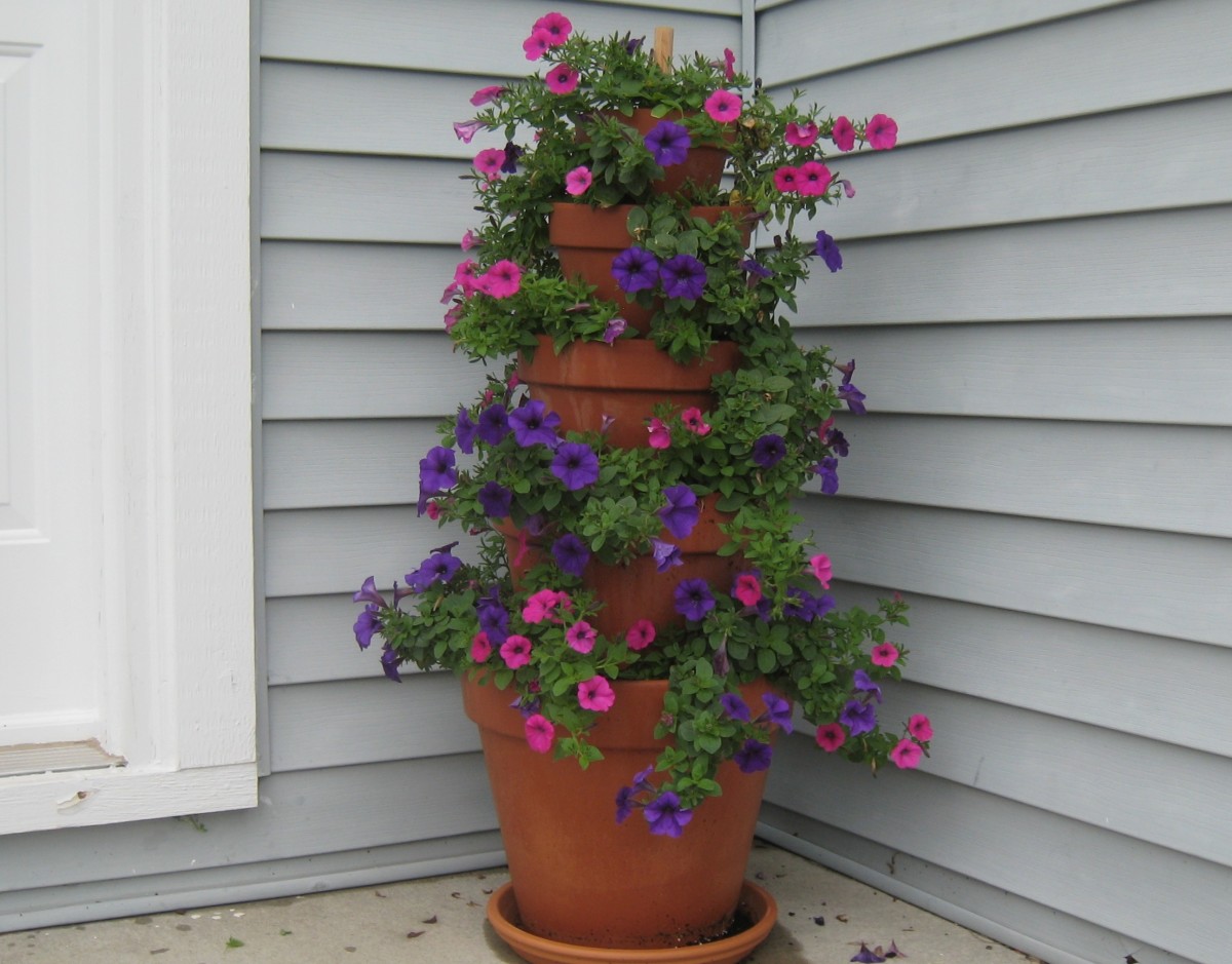 We researched the top picks to help you find the best one for your space. How to Make a Terracotta Pot Flower Tower with Annuals | Dengarden