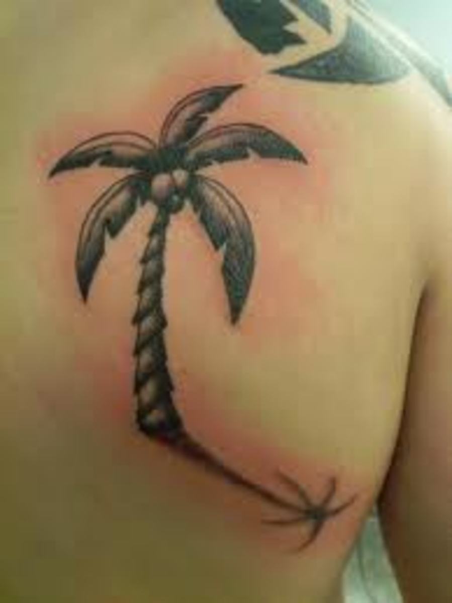 Learning how to water palm trees correctly is important to keeping the tree healthy. Palm Tree Tattoo Ideas and Designs | HubPages