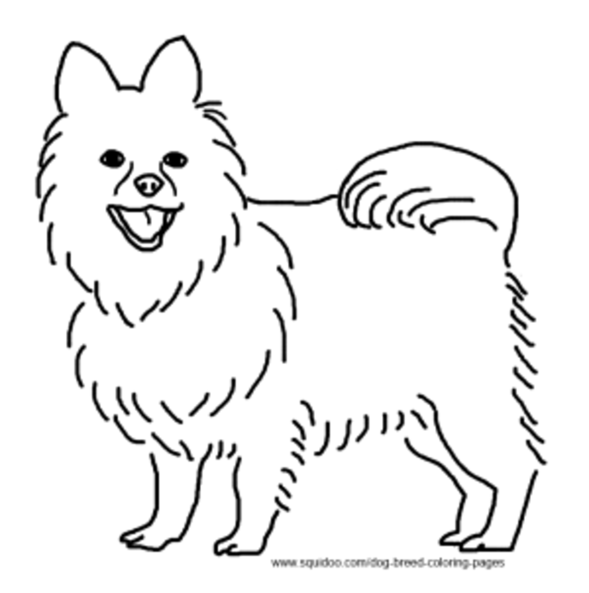 dog breed coloring pages hubpages
