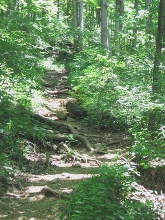 Milton, ky · enjoy the peaceful . Clifty Falls | HubPages