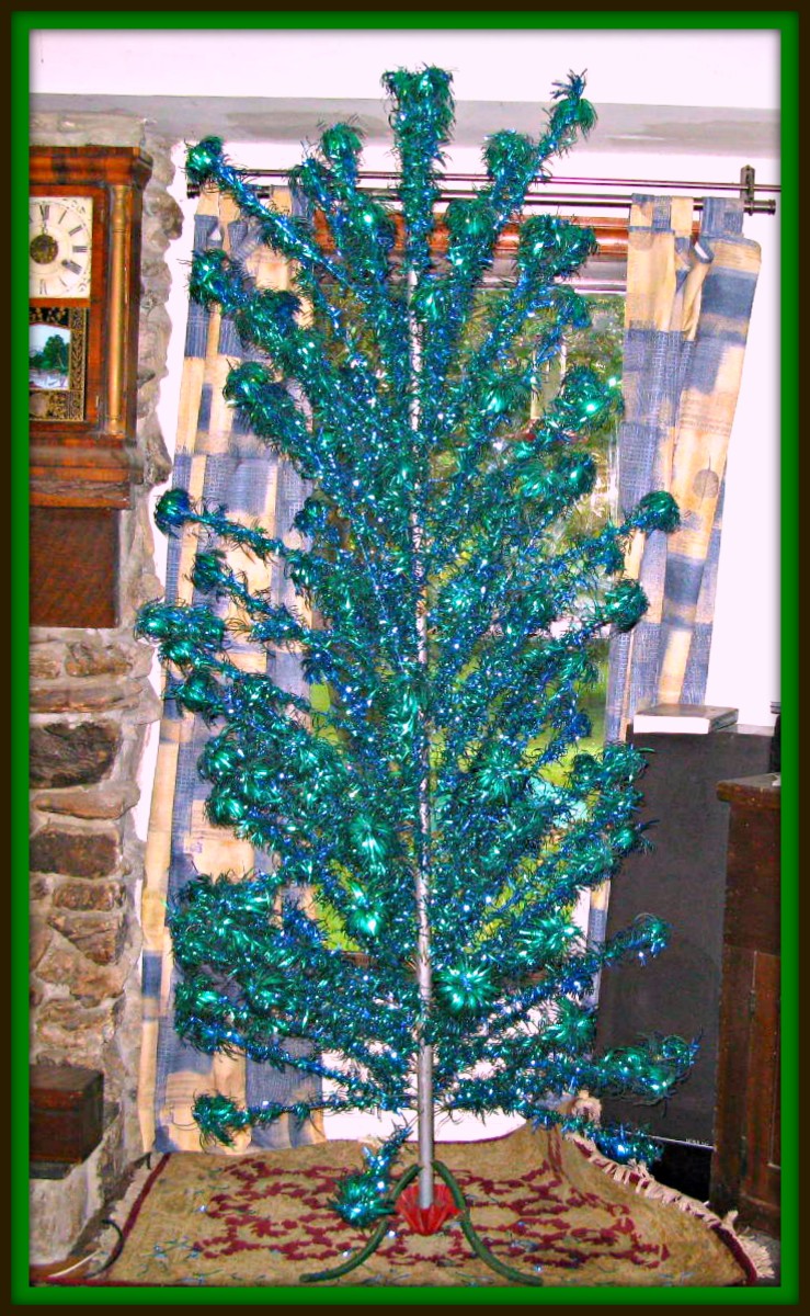 They can grow in zones two through nine and require si. Christmas with Vintage Aluminum Christmas trees | HubPages