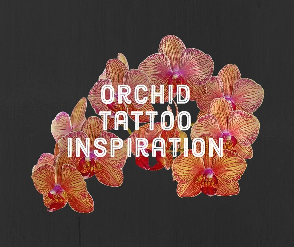 Scarica Gratis immagini Orchid Tattoo Ideas Designs And Meanings Tatring ultima saluti
