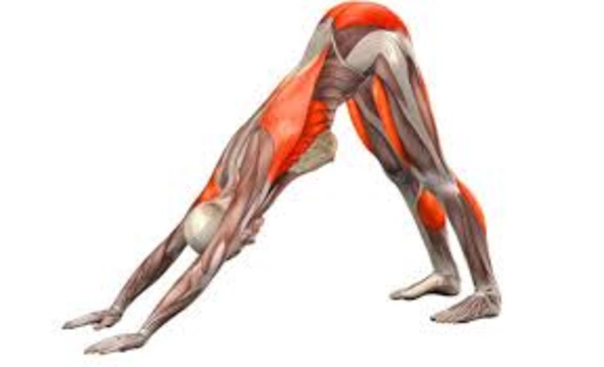 5 most beneficial yoga poses