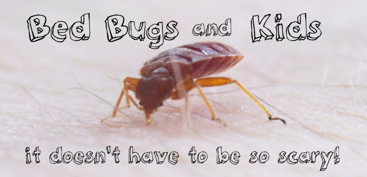 This flea spray for furniture and carpet can be used on cracks, crevices, harborages, bed frames, box springs, inside empty dressers, furniture and clothes closets, carpet edges, high and low wall moldings, behind headboards, pictures, wall. Pictures of Bed Bug Bites on Kids | Dengarden
