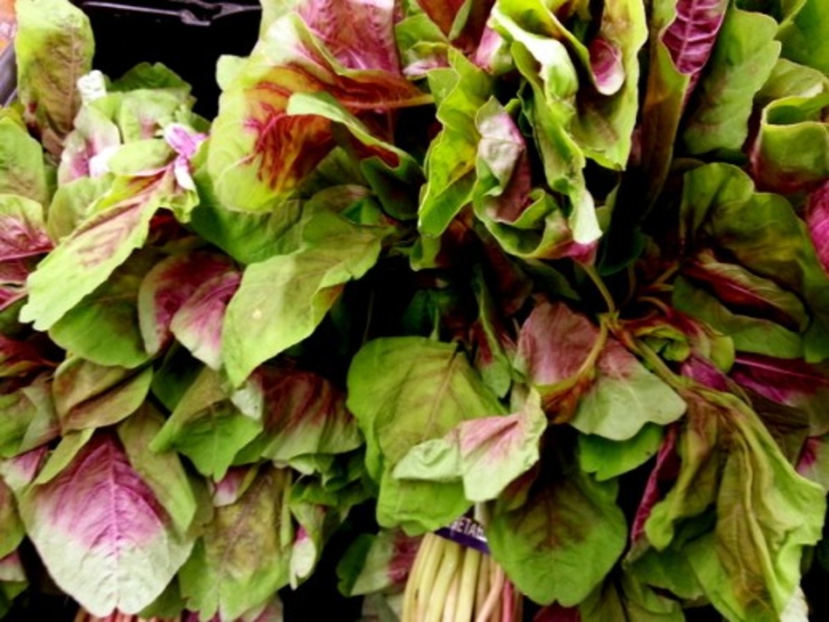 The five key factors for prepping a balanced, healthy meal. Chinese Spinach Benefits and Recipe (Yin Sai, Edible