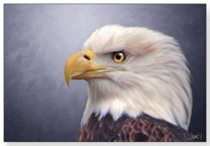 bald eagle painting easy 2