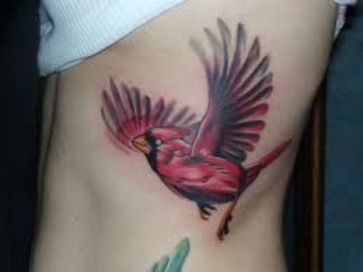 They remind us to glue with the lord even in times of despair. Cardinal Tattoos And Designs-Cardinal Tattoo Ideas And Meanings | HubPages