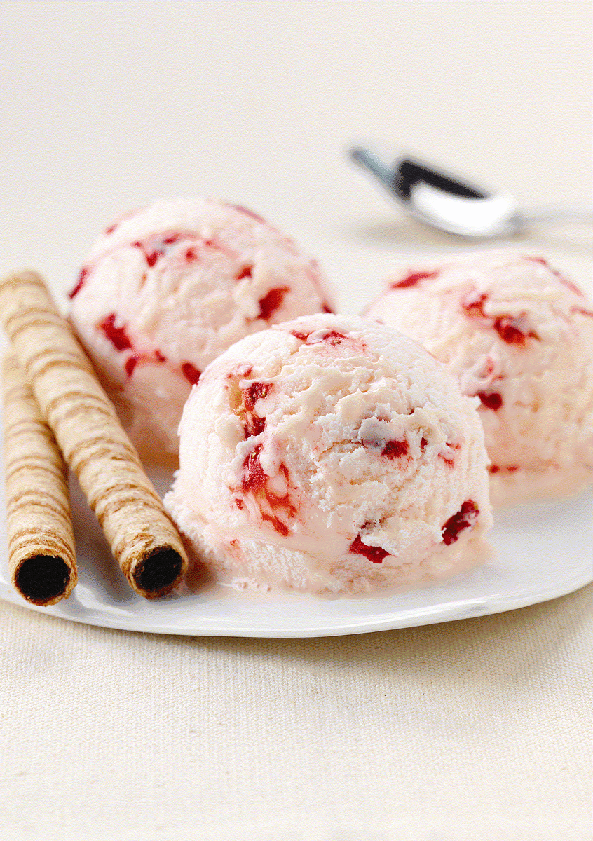 In case you want to check out all the recipes made with this base, . Ice Cream Substitutes: Gelato, Sorbet and Other