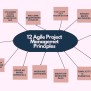 12 Agile Project Management Principles | How To Use Them?