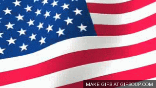 giphy (5)