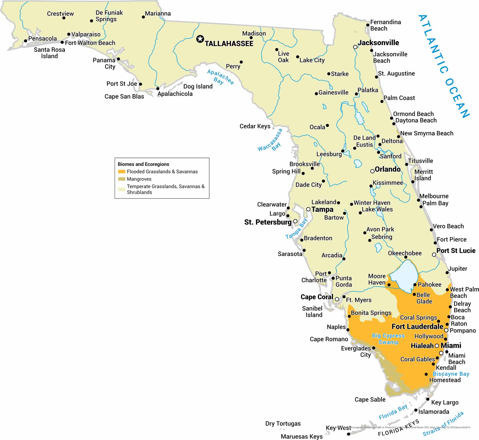 Map Of Bartow Florida US Maps Florida Biomes Map 