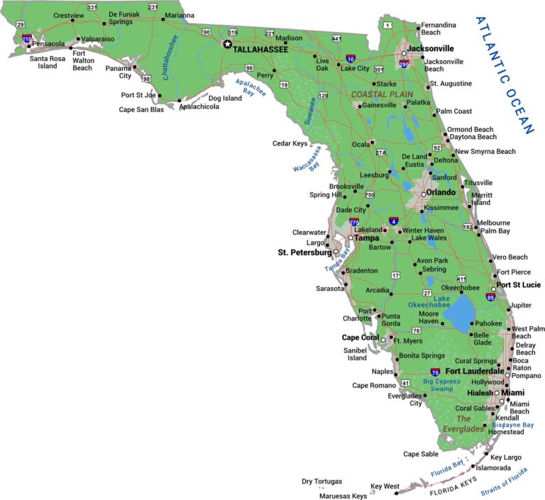 Map Of Bartow Florida US Maps Florida Physical Map 768x705 