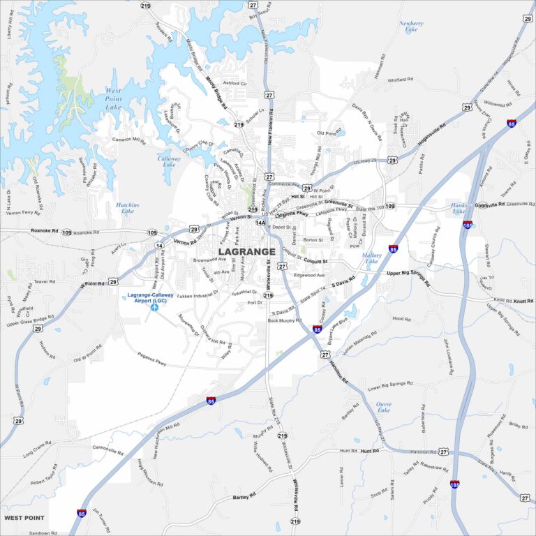 Map Of LaGrange Georgia US Maps LaGrange Map Georgia 768x768 