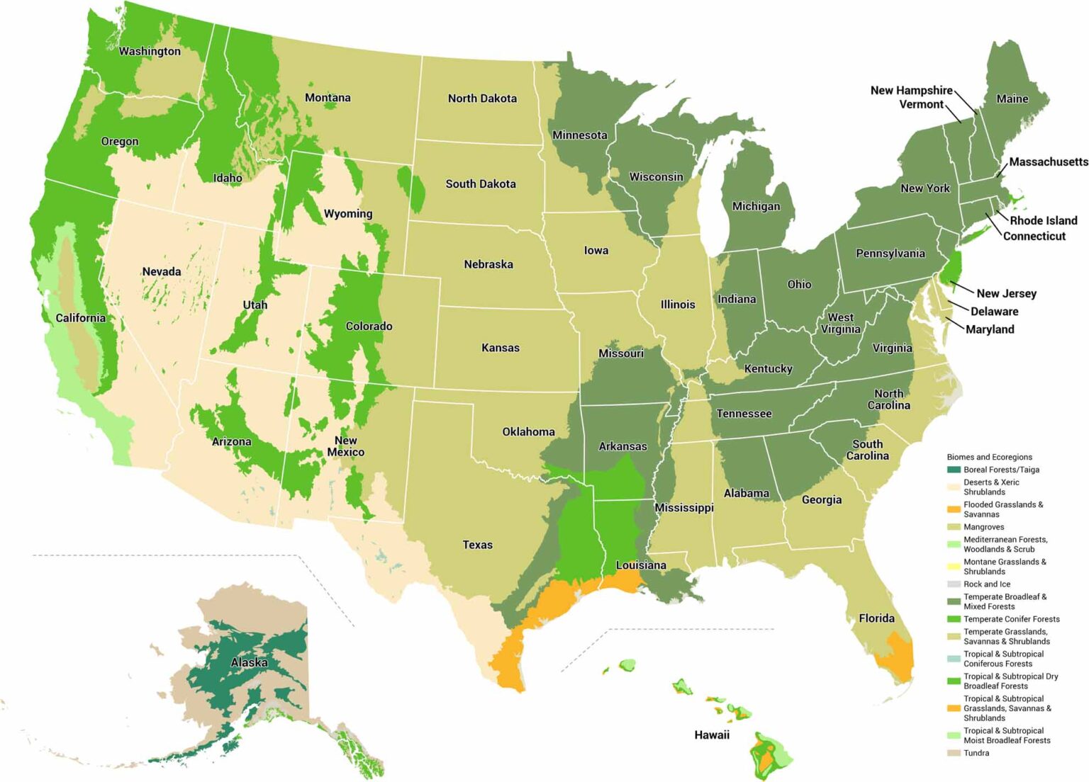US Mountains Map US Maps US Biomes Map 1536x1104 