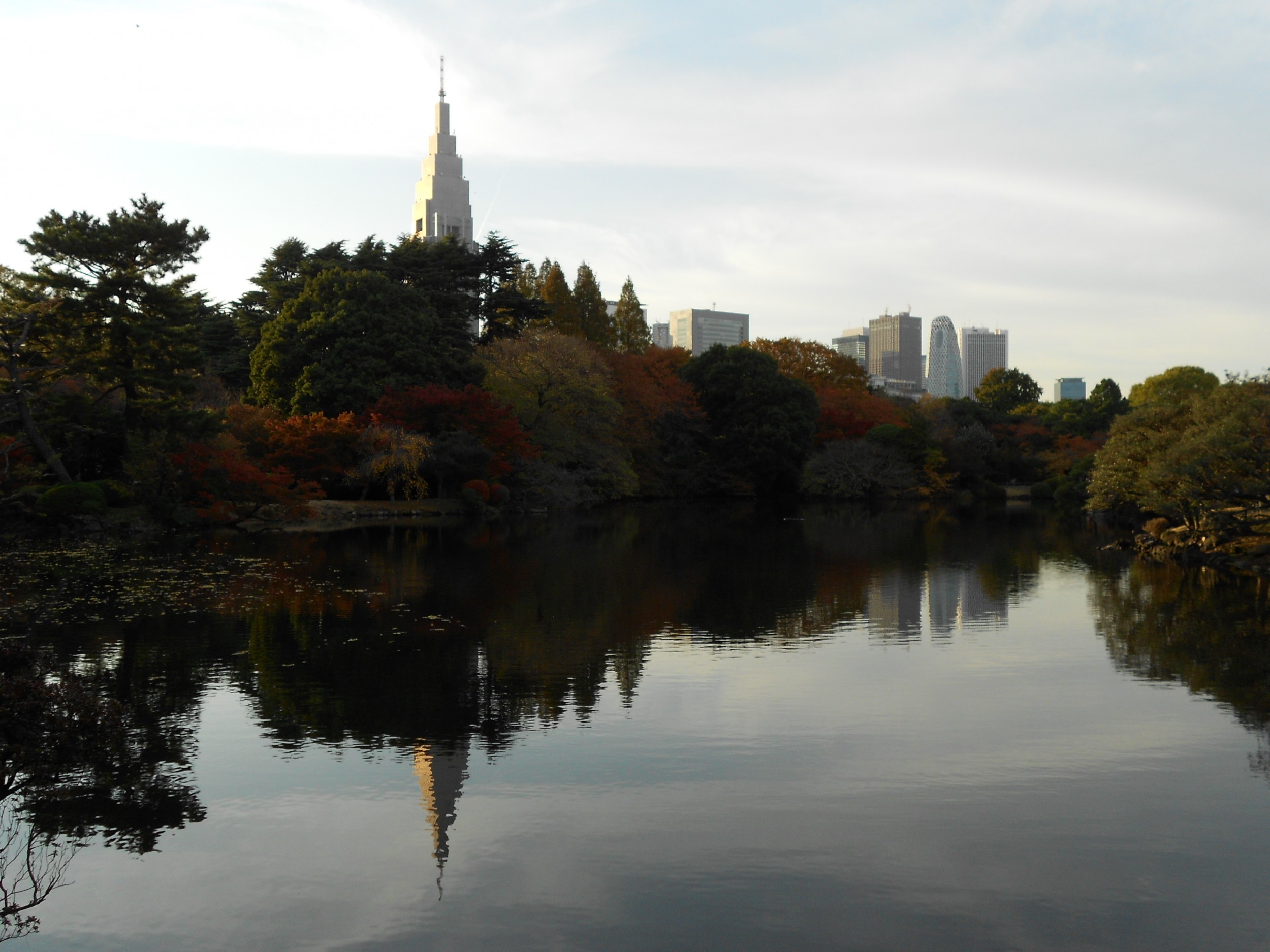 Shinjuku park