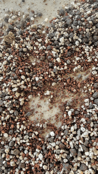 Substrate, 3 composition