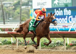 Ohio Derby Odds: Desert Gate, Chip Honcho, Ocelli Top Solid Field .. US Racing