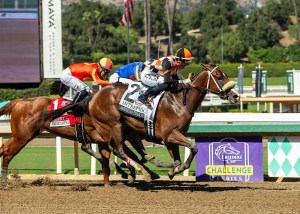 Kentucky Derby Contender: Intrepido .. US Racing