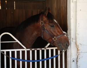 Kentucky Derby: What’s in a Millionaire? .. US Racing