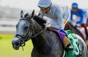 Jaipur Stakes Odds: Ag Bullet Seeks Repeat Against Males .. US Racing