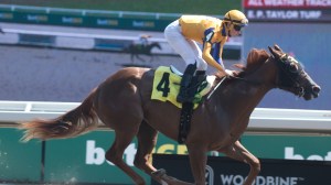 Norfolk Stakes Odds: Can U.S.-based Ez Tina Pull off Upset at Royal Ascot? Analysis, Picks .. US Racing