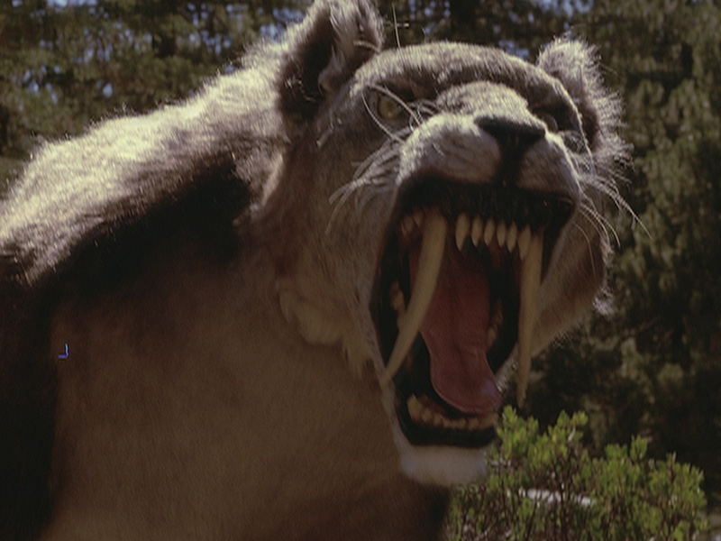 Four Things I Learned from Watching SyFy Original Movies