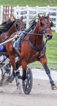 Big Ranger's New Trainer: Madison Global's Statement (2026)