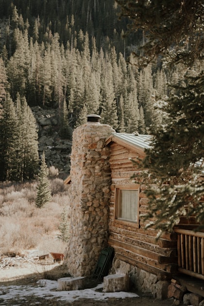 Junk Removal Services for Cabins