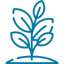 plant icon