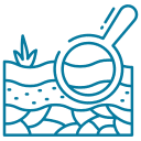 Search Icon
