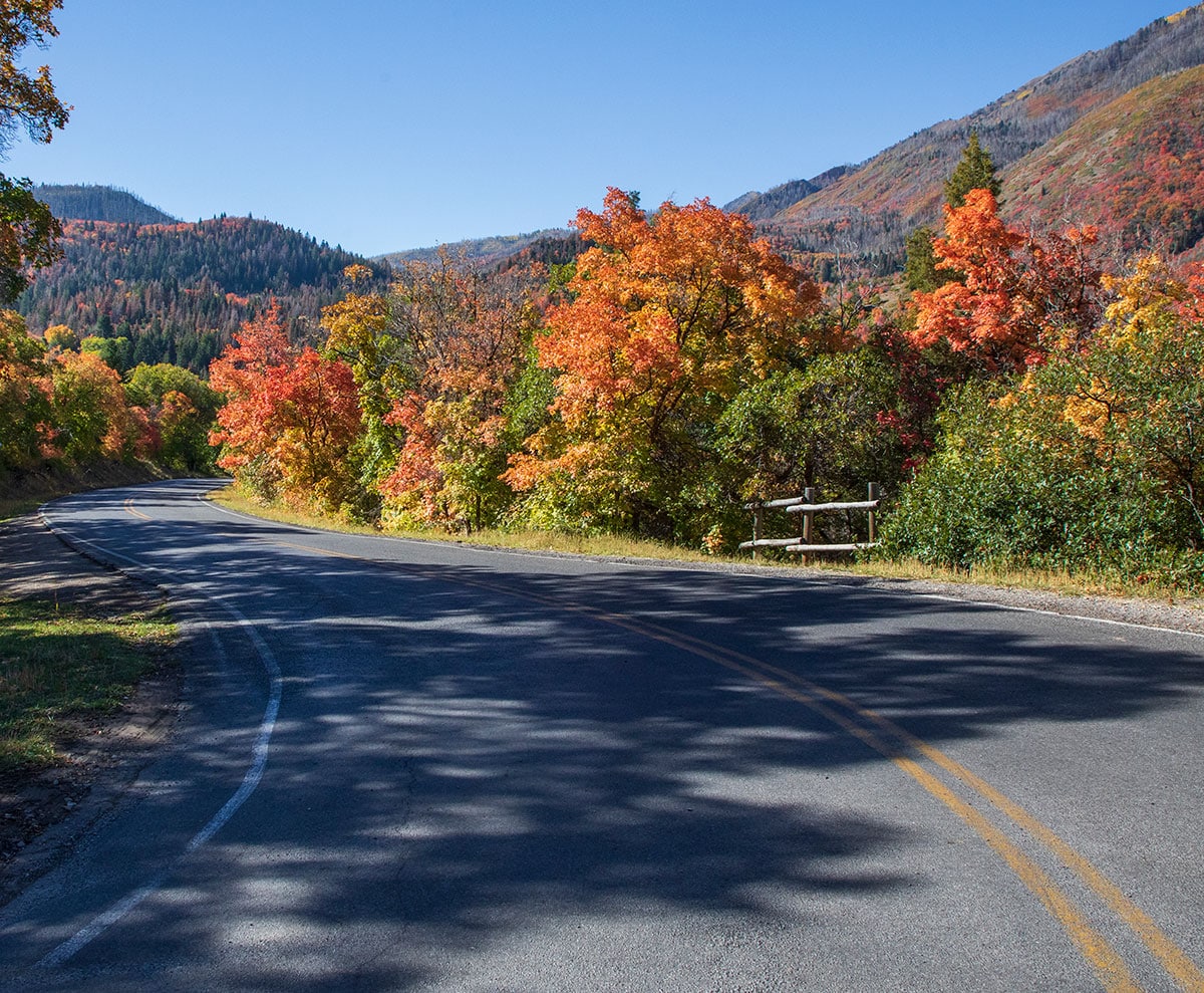 Nebo Loop Fall Colors