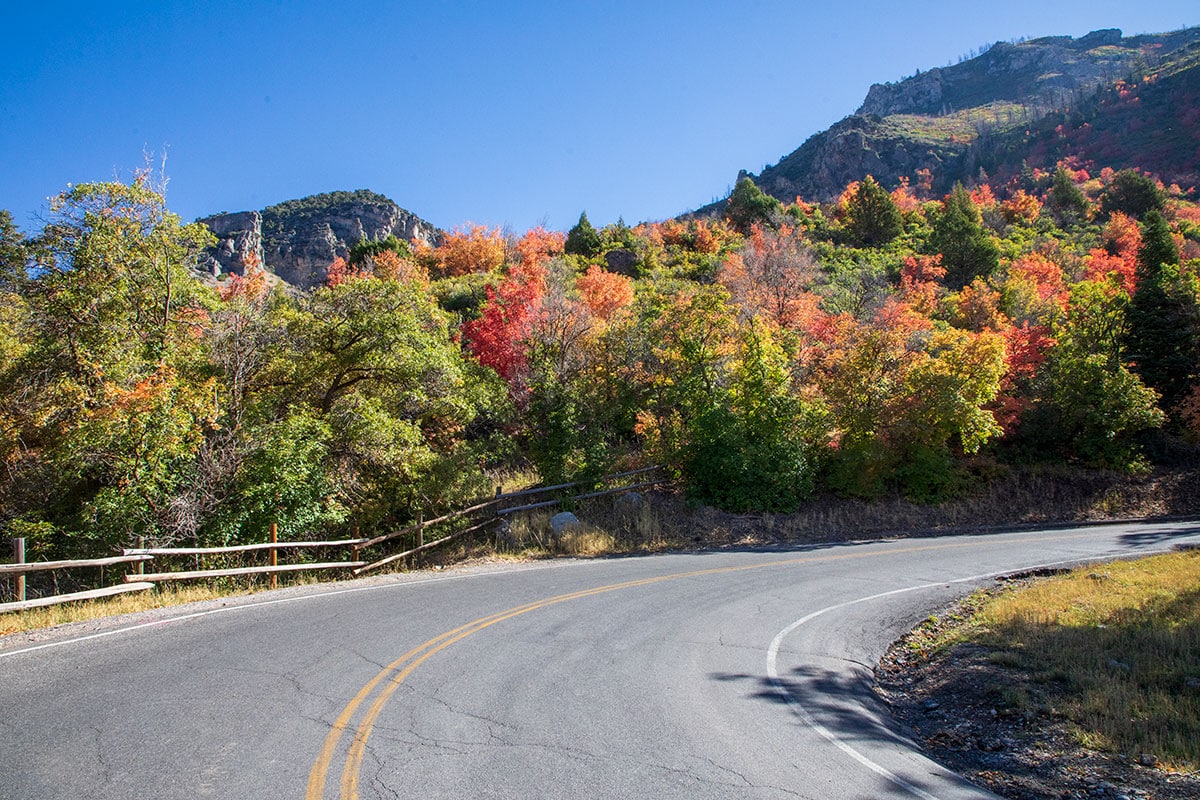 Utah fall colors