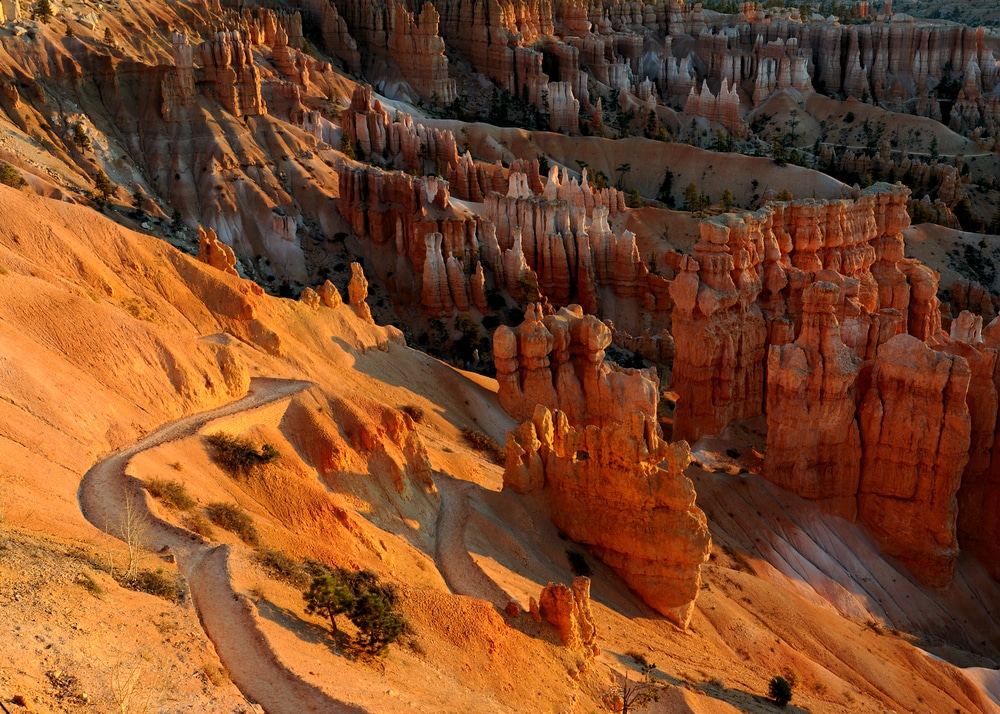 Navajo Loop Trail