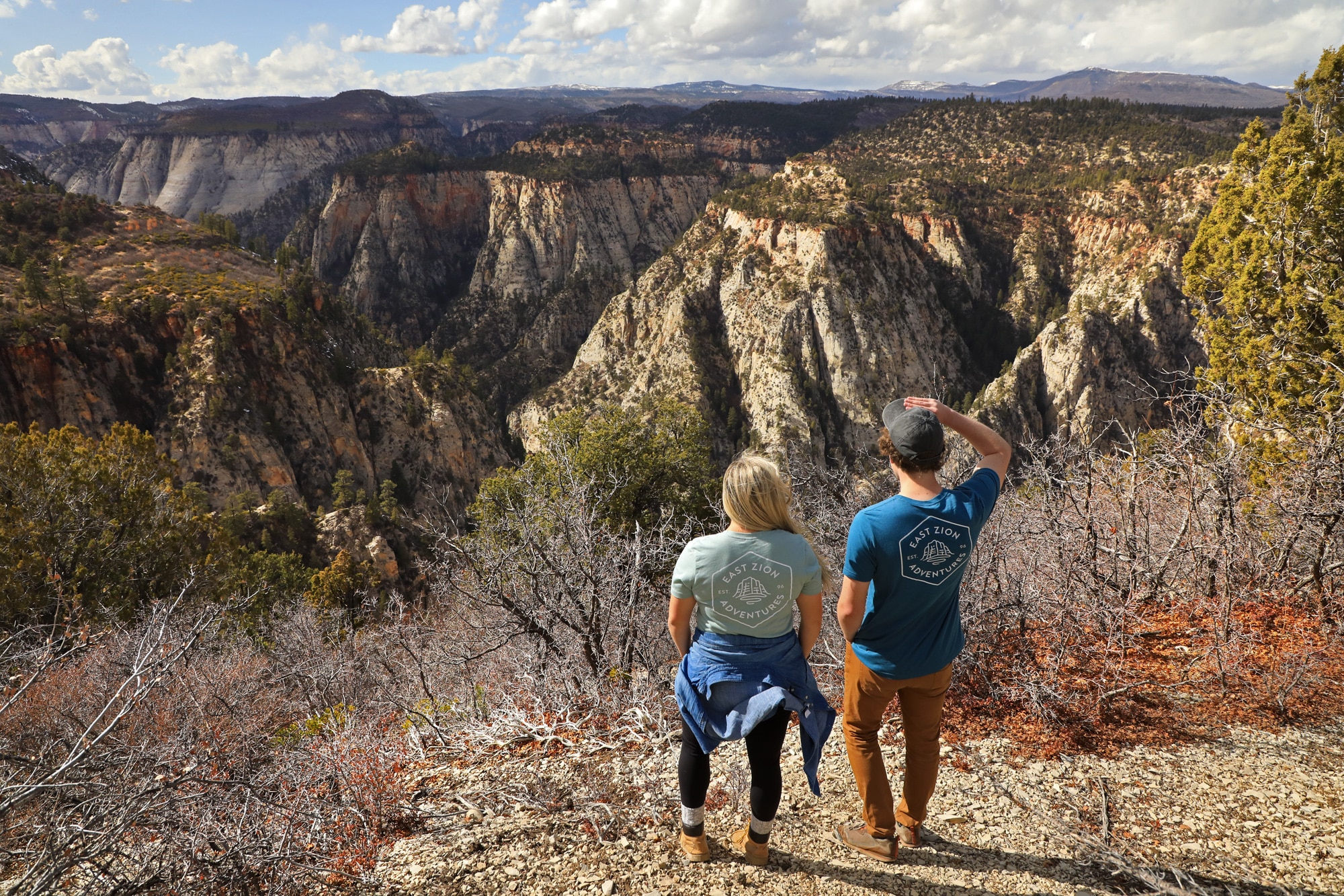Couple looking at the Landscape view