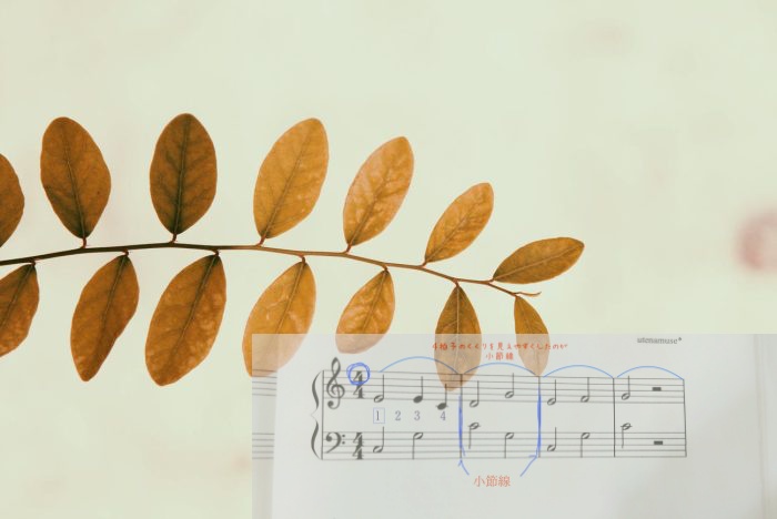 4分の4拍子を自然との関連で説明