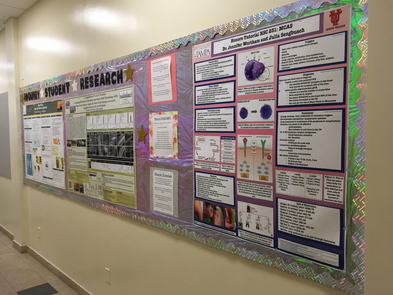 Honors Courses Honors Tutorials The Honors Program UT