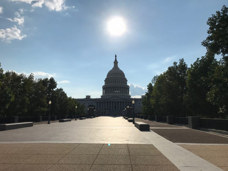 The U.S. Capitol Building