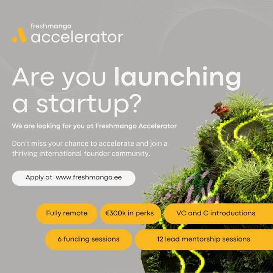 Freshmango Accelerator 2026: Equity-Free Remote Program & €4M+ Perks Freshmango Accelerator 2026: Equity-Free Remote Program & €4M+ Perks