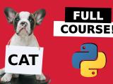 Github Computervisioneng Image Classification Python Full Course