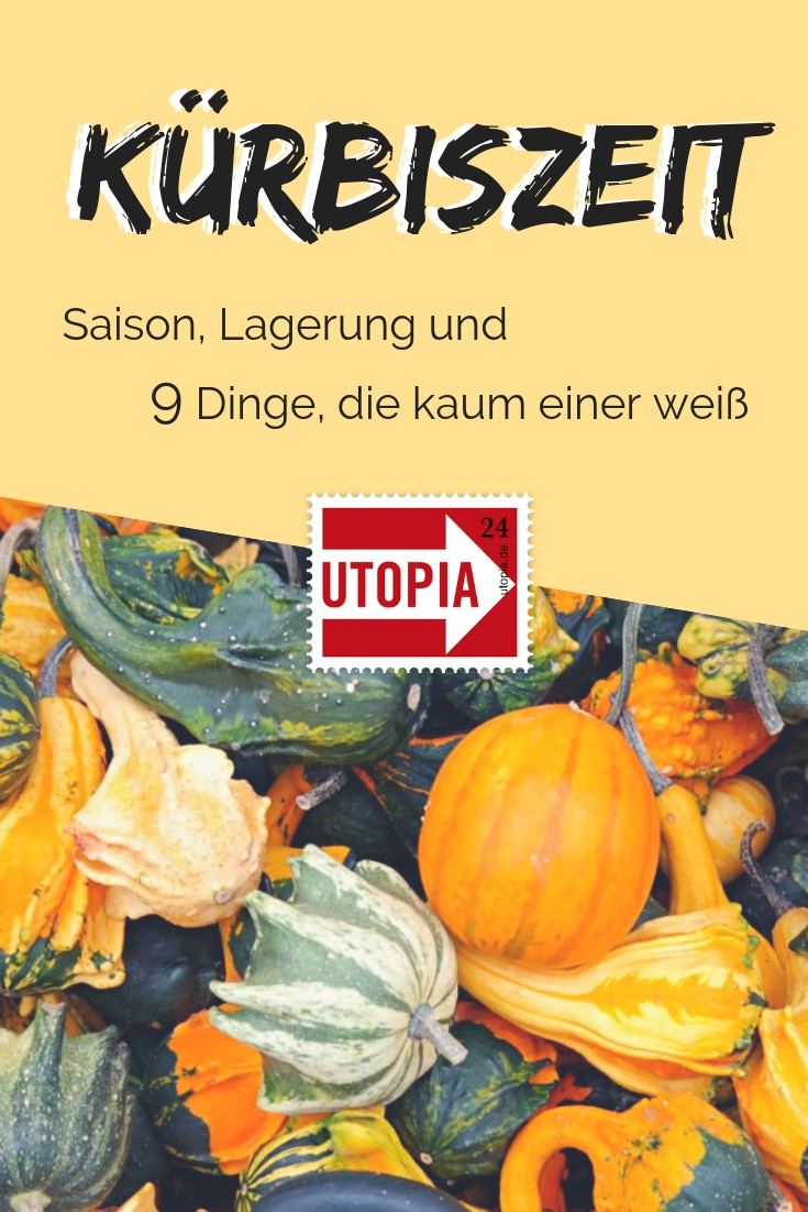 Halloween fällt wie immer auf die nacht vom 31. KÃ¼rbiszeit: Wann hat eigentlich KÃ¼rbis Saison? Beste