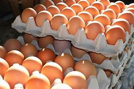 Free Range Medium Shell Eggs - 15 dozen