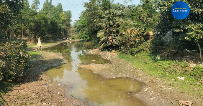 Dakshin Dinajpur | নদী যেন গোচারণ ভূমি, বালি জমে অস্তিত্বের সংকটে চিরি