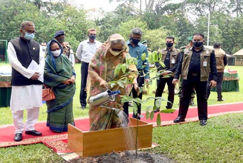বিশ্ব পরিবেশ দিবস: জাতীয় বৃক্ষরোপণ অভিযান উদ্বোধন প্রধানমন্ত্রীর