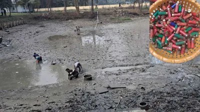 দাগনভূঞা থানা পুকুর থেকে ২১৯ পিস গুলি উদ্ধার