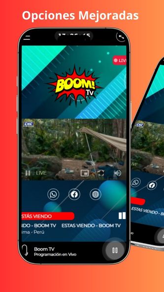 Screenshot image