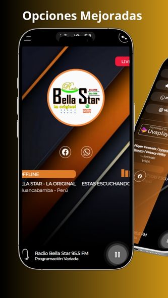 Screenshot image