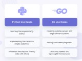 Golang Vs Python In 2024 Deep Review And Comparison