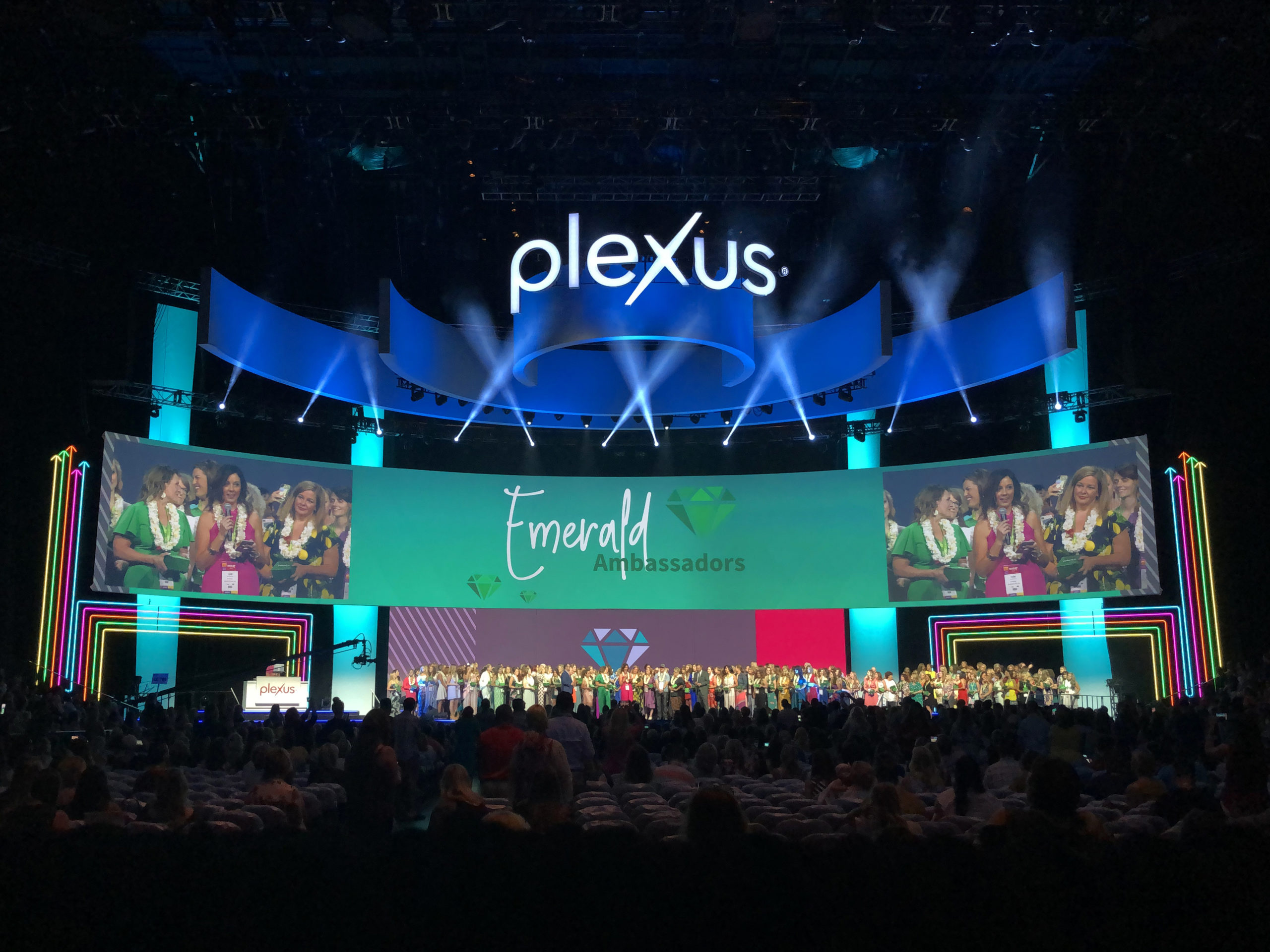 Plexus 2019 - UVLD